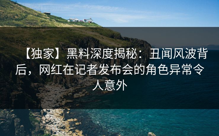 【独家】黑料深度揭秘：丑闻风波背后，网红在记者发布会的角色异常令人意外